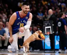 爱游戏全站-辽宁铁人引援最新消息